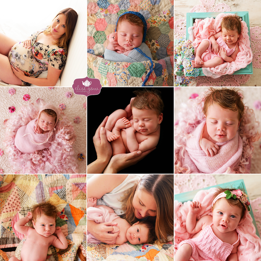 Newborn baby girl images in pink by Elise Gow photography on the sunshine coast